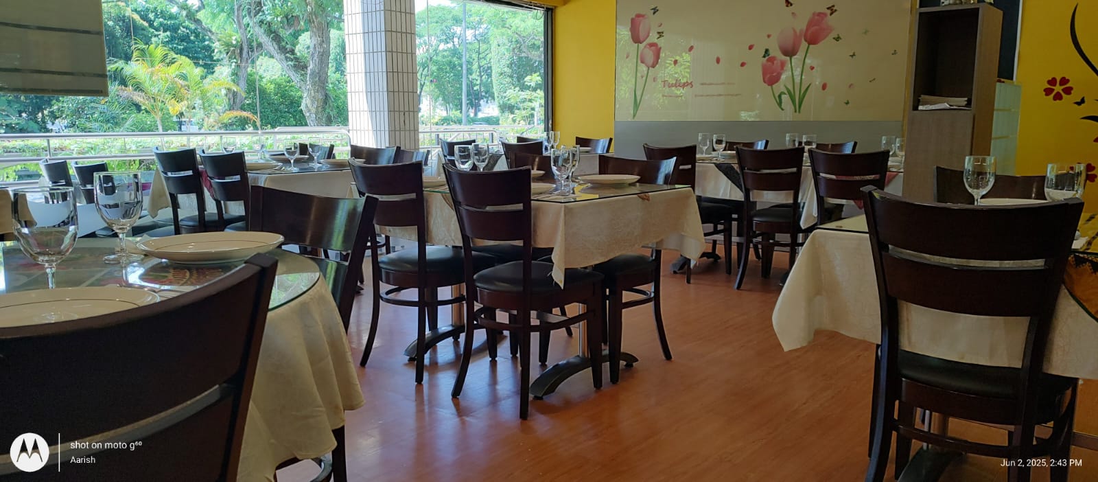 Window-side dining tables looking out to greenery